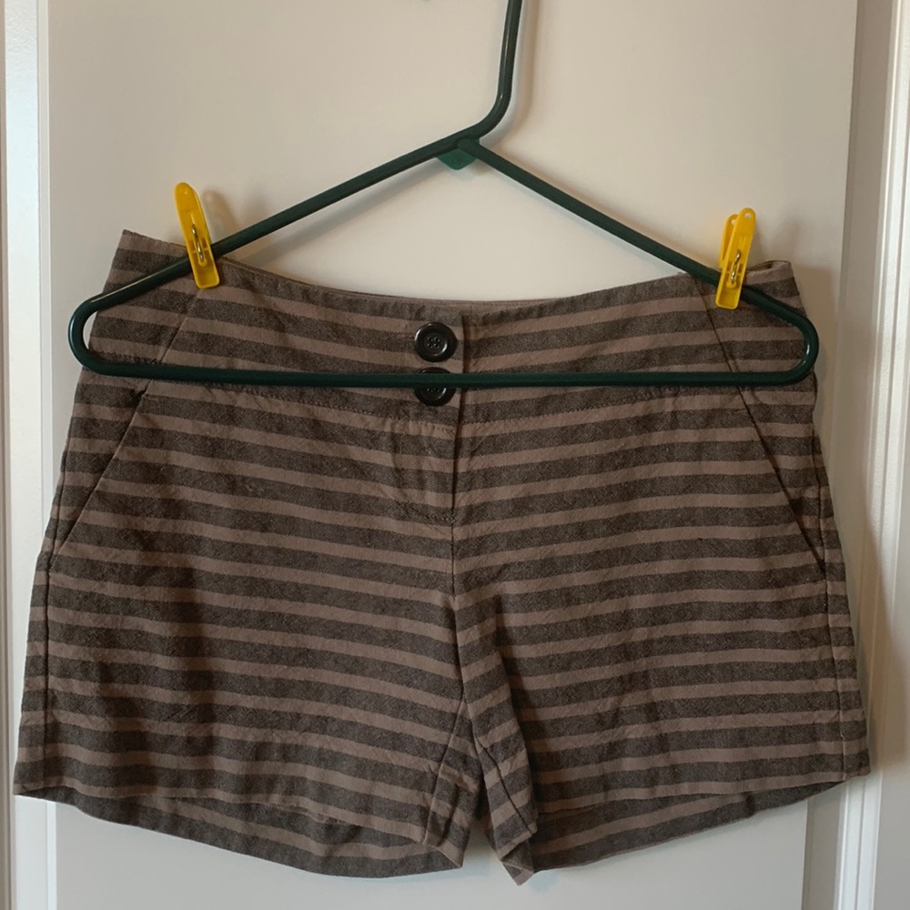 The Limited Shorts